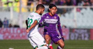 fiorentina-sassuolo precedenti